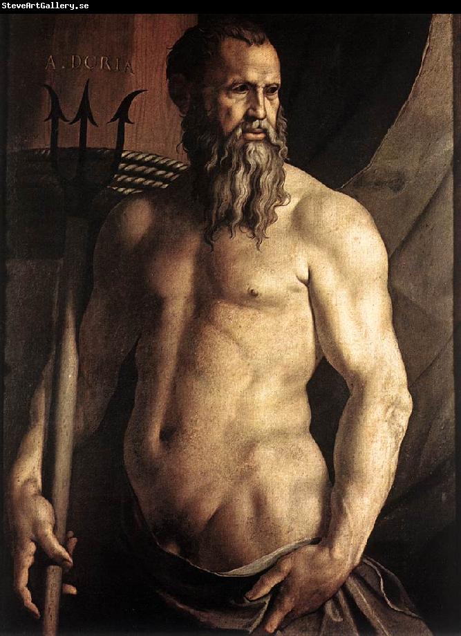 BRONZINO, Agnolo Portrait of Andrea Doria as Neptune df